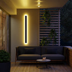 Arctica Linear Outdoor Wall Light With Clear Acrylic Pane