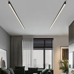 Aether Linear Black Ceiling And Wall Light For Modern Interiors