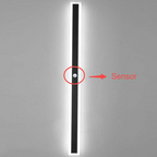 Arctica Linear Outdoor Wall Light With Clear Acrylic Pane