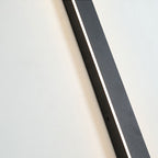 NovaLine Linear LED Outdoor Wall Light In Black With Timeless Design