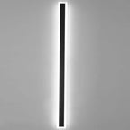 Arctica Linear Outdoor Wall Light With Clear Acrylic Pane