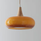 LumaWood Amber Glass Wood Pendant Light With Sleek Metal Detail