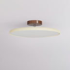 Nyxia Colorful Adjustable Ceiling Light For Bedroom