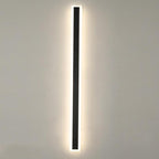Arctica Linear Outdoor Wall Light With Clear Acrylic Pane