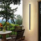 Arctica Linear Outdoor Wall Light With Clear Acrylic Pane