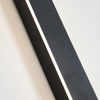 NovaLine Linear LED Outdoor Wall Light In Black With Timeless Design